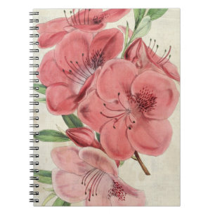 Carnet Aimant botanique vintage Azalea