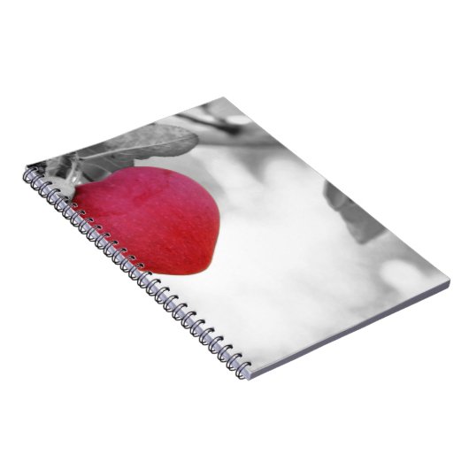 Carnet Aimer Apple (Côté Droit)