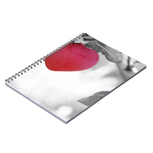 Carnet Aimer Apple (Côté gauche)