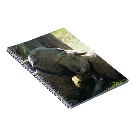 Carnet Aimer Ewe Sheep (Côté Droit)