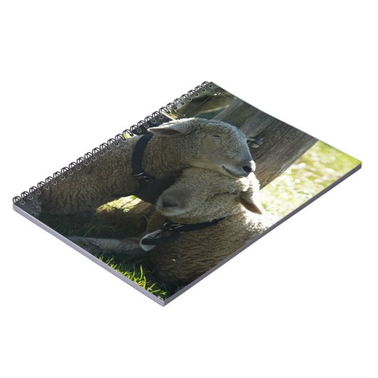 Carnet Aimer Ewe Sheep (Côté gauche)