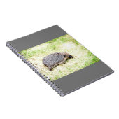 Carnet Aimer les hérissons (Côté Droit)