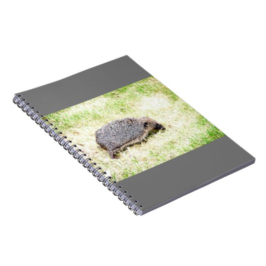 Carnet Aimer les hérissons (Côté Droit)