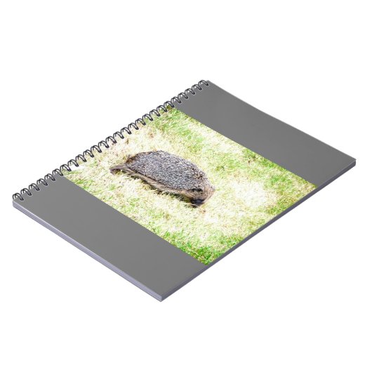 Carnet Aimer les hérissons (Côté gauche)