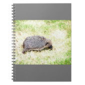 Carnet Aimer les hérissons (Devant)