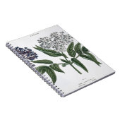 Carnet Aîné, fig. 13 "du jeune terrien", publishe (Côté Droit)