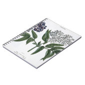 Carnet Aîné, fig. 13 "du jeune terrien", publishe (Côté gauche)