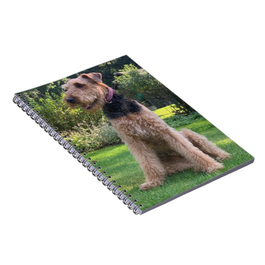 Carnet Airedale Terrier (Côté Droit)