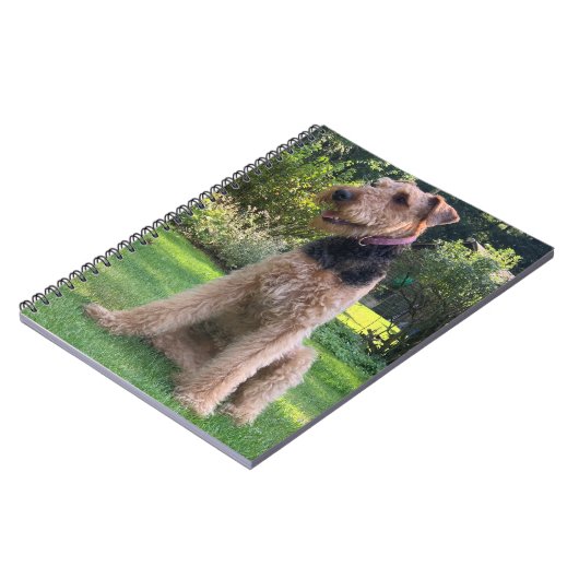 Carnet Airedale Terrier (Côté gauche)