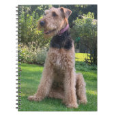 Carnet Airedale Terrier (Devant)