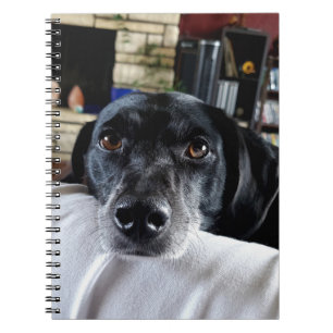 Carnet Ajouter la photo de votre chien à cette personnali