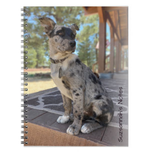 Carnet Ajouter votre espace réservé pour chien de béta