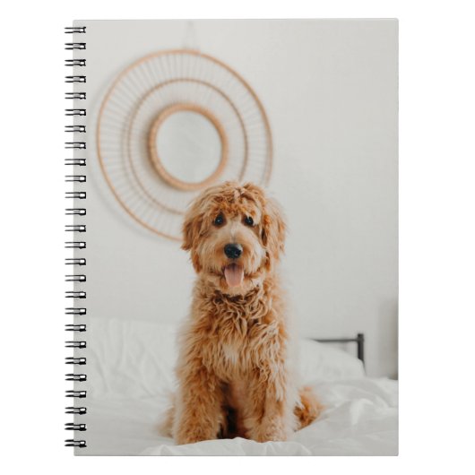 Carnet Ajouter votre propre logo photo do-it-yourself pho (Devant)