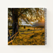 Carnet Ajoutez votre nom | L'aube triste dans une forêt (Dos)