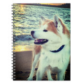 Carnet Akita (Devant)