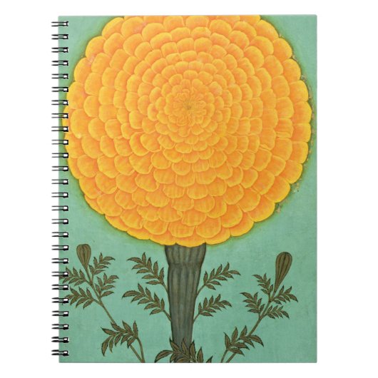 Carnet Album de petite taille | A Marigold (Devant)