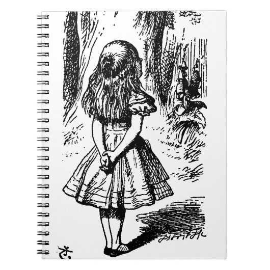 Carnet Alice au pays des merveilles - illustration (Devant)