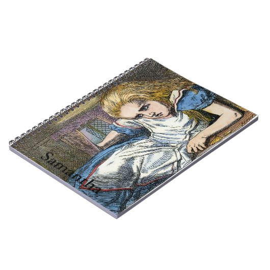 CARNET ALICE EN WONDERLAND (Côté gauche)