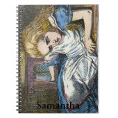 CARNET ALICE EN WONDERLAND (Devant)