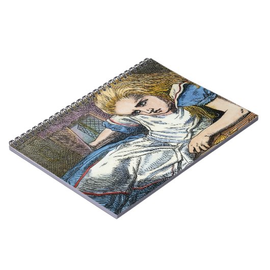 CARNET ALICE EN WONDERLAND (Côté gauche)