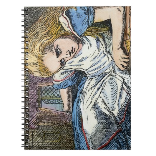 CARNET ALICE EN WONDERLAND (Devant)