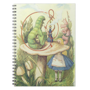 Carnet Alice rencontre la Caterpillar