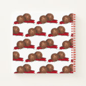 Carnet Alimentation italienne pâtes Spaghetti Meatballs M (Dos)