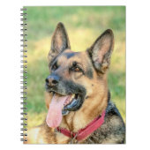 Carnet Allemand Shepard (Devant)