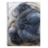 Carnet Allez-y Bientôt Sick Carlin Chien (Devant)