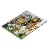 Carnet Allsorts animal (Côté gauche)