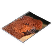 Carnet Alpaca (Côté gauche)