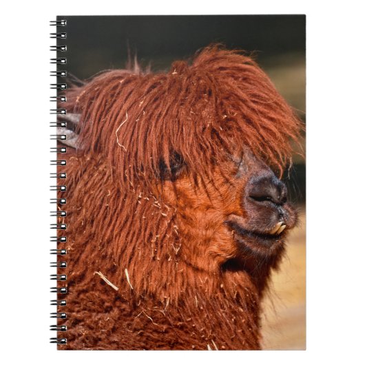 Carnet Alpaca (Devant)