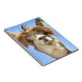 Carnet Alpaga fol de cheveux (Côté Droit)