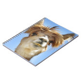 Carnet Alpaga fol de cheveux (Côté gauche)