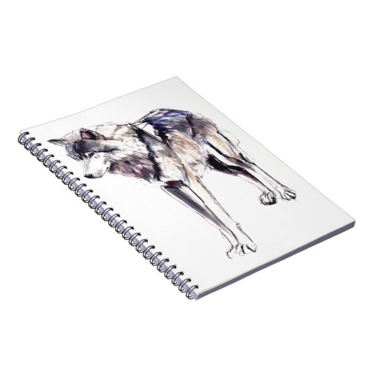 Carnet Alpha (Côté Droit)