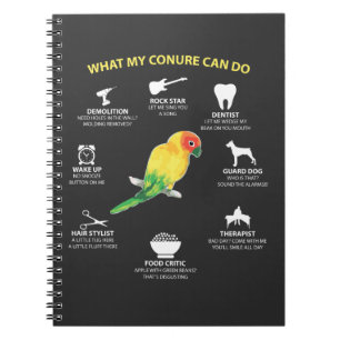 Carnet Amant doué drôle d'oiseau de Sun Conure