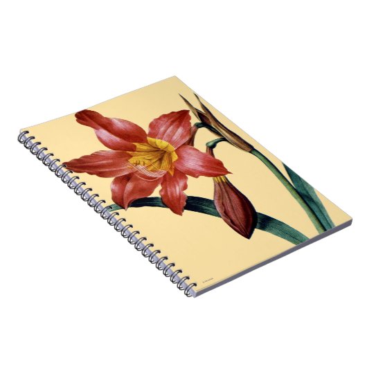 Carnet Amaryllis (Côté Droit)