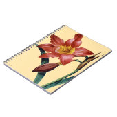 Carnet Amaryllis (Côté gauche)
