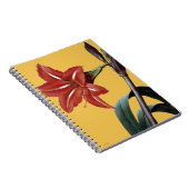 Carnet Amaryllis barrée (Côté Droit)