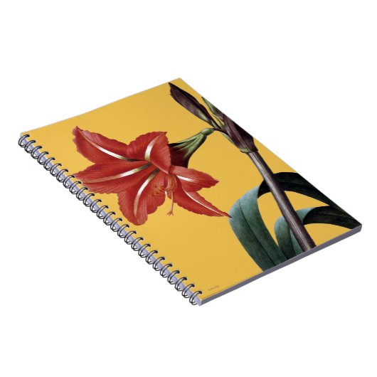 Carnet Amaryllis barrée (Côté Droit)