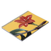 Carnet Amaryllis barrée (Côté gauche)