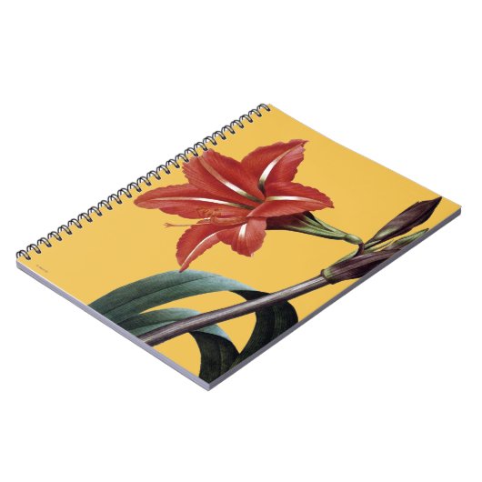 Carnet Amaryllis barrée (Côté gauche)