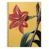 Carnet Amaryllis barrée (Devant)