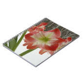Carnet Amaryllis en Fête Rouge Neige Hiver Floral (Côté gauche)
