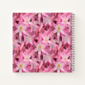 Carnet Amaryllis Galore....... (Dos)