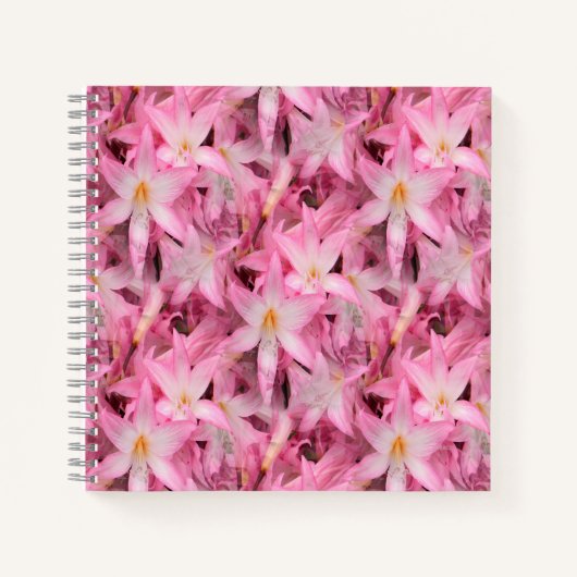 Carnet Amaryllis Galore....... (Devant)