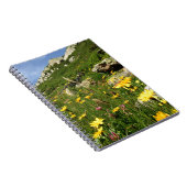 Carnet Amazing ! Alpine flowers (Côté Droit)