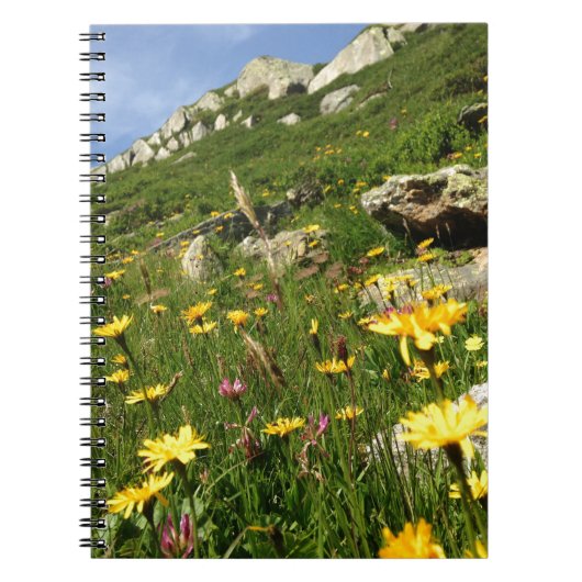 Carnet Amazing ! Alpine flowers (Devant)