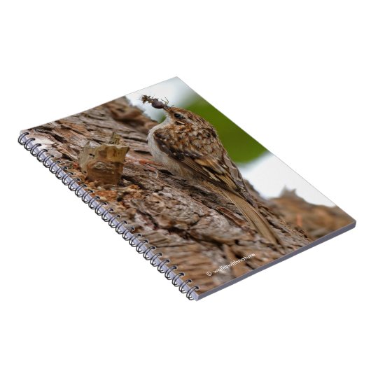 Carnet American Treecreeper avec bug (Côté Droit)
