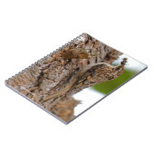 Carnet American Treecreeper avec bug (Côté gauche)